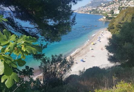 Charmant 2 Pieces Vue Sur Mer Et Monte-Carlo A Roquebrune Cap Martin Exterior photo